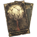 The Moon